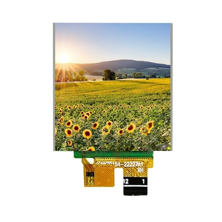 1.54 inç TFT LCD ekran