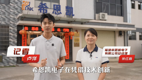 Yenilik Odaklı Gelişim: CNK Electronics, Wuping'in Endüstriyel Yükseltmesinde Yeni Bir Bölüme Öncülük Ediyor